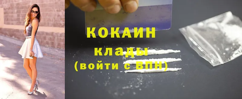 Cocaine Fish Scale  купить наркотик  площадка как зайти  Буй  MEGA ссылка 